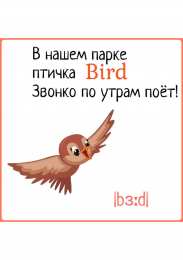 Первые слова Карточки с картинками и английскими словами