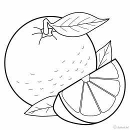 Фрукты и ягоды Детские раскраски для раннего развития детей с фруктами и ягодами 