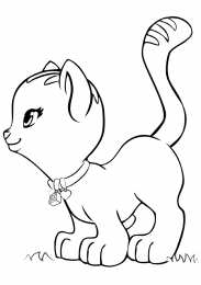 Для девочек Раскраски с животными для девочек