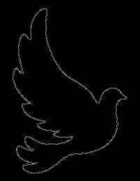 Контуры птицы Скачать раскраски с контурами птиц онлайн.