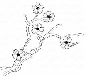 Весна Раскраски с изображением цветущего дерева.