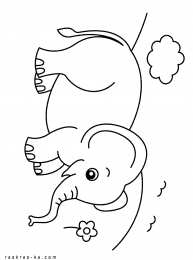 Слон Индийские и африканские слоны это животные с длинным хоботом