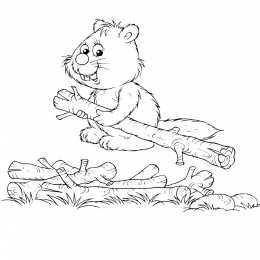 Бобер Животное бобер. Бобры могут строить платины и грызть деревья