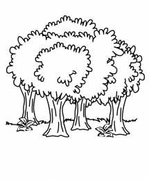 Лес Знакомство с окружающим миром. Раскраски с лесом для детей.