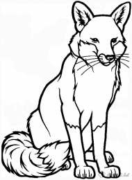 Лиса Раскраски хитрая лиса обманщица