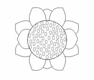 Подсолнух Подсолнух