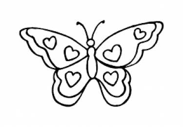 Бабочка красивые бабочки хорошего качества 