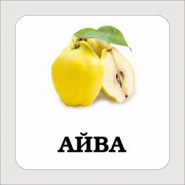 Фрукты Карточки с подписными фруктами. Скачать бесплатно.