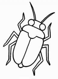 Насекомые Раскраски с насекомыми. Изучаем с ребенком окружающий мир