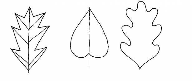 Контуры листьев Шаблоны и трафареты листьев для поделок на осеннюю тему