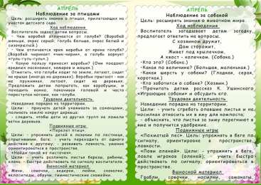 Весенние прогулки Картотека весенних прогулок с детьми в детском ваду