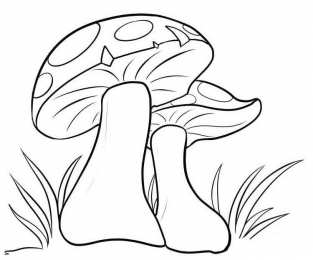 Грибы Раскраски грибов скачать и распечатать онлайн бесплатно