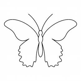 Контуры бабочки Контуры, трафареты, шаблоны бабочек для вырезания аппликаций  и поделок
