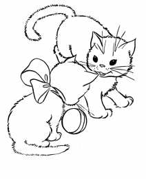 Кошка Коты. Раскраски с грациозными домашними животными 