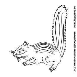 Бурундук бурундуки