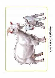 Дети и родители Карточки по окружающему миру. Мамы и дети. Раннее развитие детей.