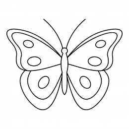 Контуры бабочки Контуры, трафареты, шаблоны бабочек для вырезания аппликаций  и поделок