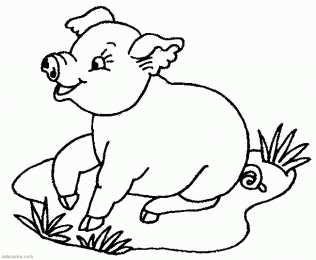 Поросенок Свинья с поросятами  и просто раскраски хрюшек и кабанов