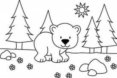 Медвежонок Раскраски с медведями и медвежатами