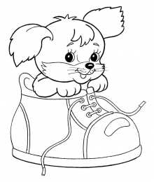 Раскраски для девочек 5 лет раскраски для девочек 5 лет