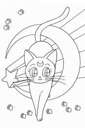 Коты для девочек Следи кошки