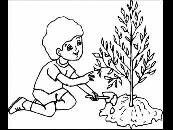 Сажаем деревья Посадка новых деревьев. Раскраски по окружающему миру