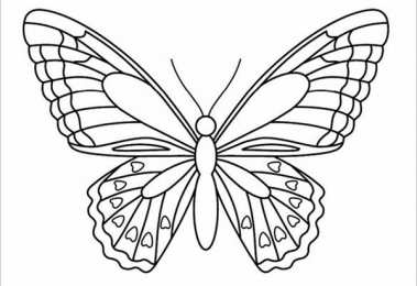 Контуры бабочки Контуры, трафареты, шаблоны бабочек для вырезания аппликаций  и поделок