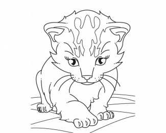 Кошка Коты. Раскраски с грациозными домашними животными 