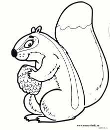 Бурундук бурундуки