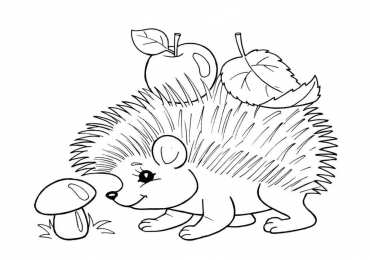 Ёж Раскраски с ежами у которых на спине яблоки грибы и листья
