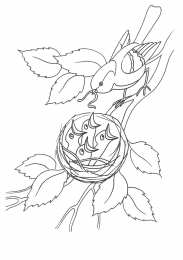 Весна Мама прица кормит птенцов в гнезде