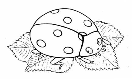 Насекомые Раскраски с насекомыми. Изучаем с ребенком окружающий мир