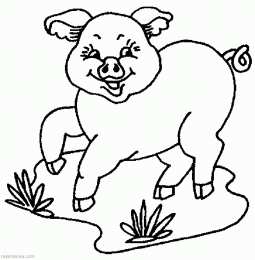 Поросенок Свинья с поросятами  и просто раскраски хрюшек и кабанов