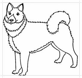 Собака Собака друг человека. Домашние животные