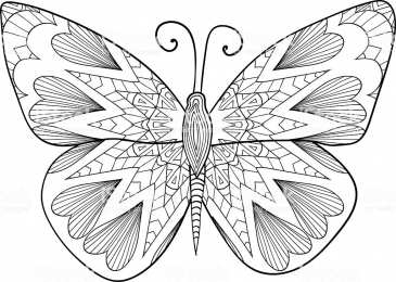 Контуры бабочки Контуры, трафареты, шаблоны бабочек для вырезания аппликаций  и поделок