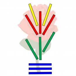 Счетные палочки Фигуры из цветных счетных палочек