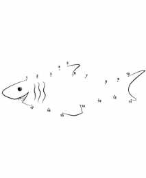 Соедини по порядку Соедини по порядку. Увлекательное изучение цифр с детьми