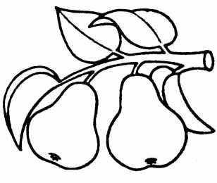 Фрукты и ягоды Детские раскраски для раннего развития детей с фруктами и ягодами 