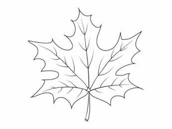 Контуры листьев Шаблоны и трафареты листьев для поделок на осеннюю тему