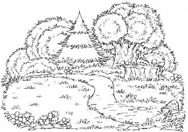 Лес Знакомство с окружающим миром. Раскраски с лесом для детей.