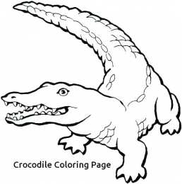 Крокодил Крокодилы и аллигаторы. Опасные хищные животные