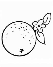 Фрукты и ягоды Детские раскраски для раннего развития детей с фруктами и ягодами 