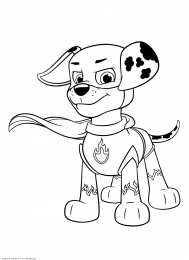 Щенки Раскраски щенки для девочек