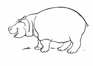 Бегемот Бегемоты это животные с огромной пастью живущие в болотах