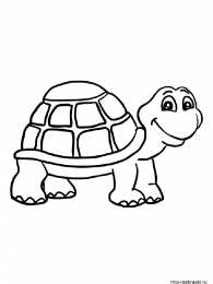 Черепаха Черепахи морские и черепахи степные