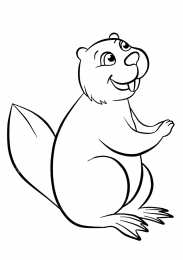 Бобер Животное бобер. Бобры могут строить платины и грызть деревья