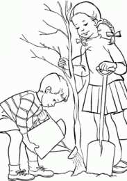 Сажаем деревья Посадка новых деревьев. Раскраски по окружающему миру