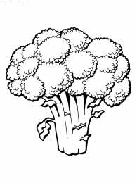 Овощи для детей Раскраски с овощами для детей скачать бесплатно