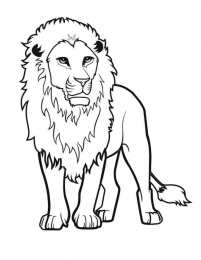 Лев Раскраски для мальчиков. Африканские животные. Лев король зверей