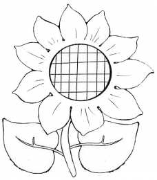 Подсолнух Подсолнух